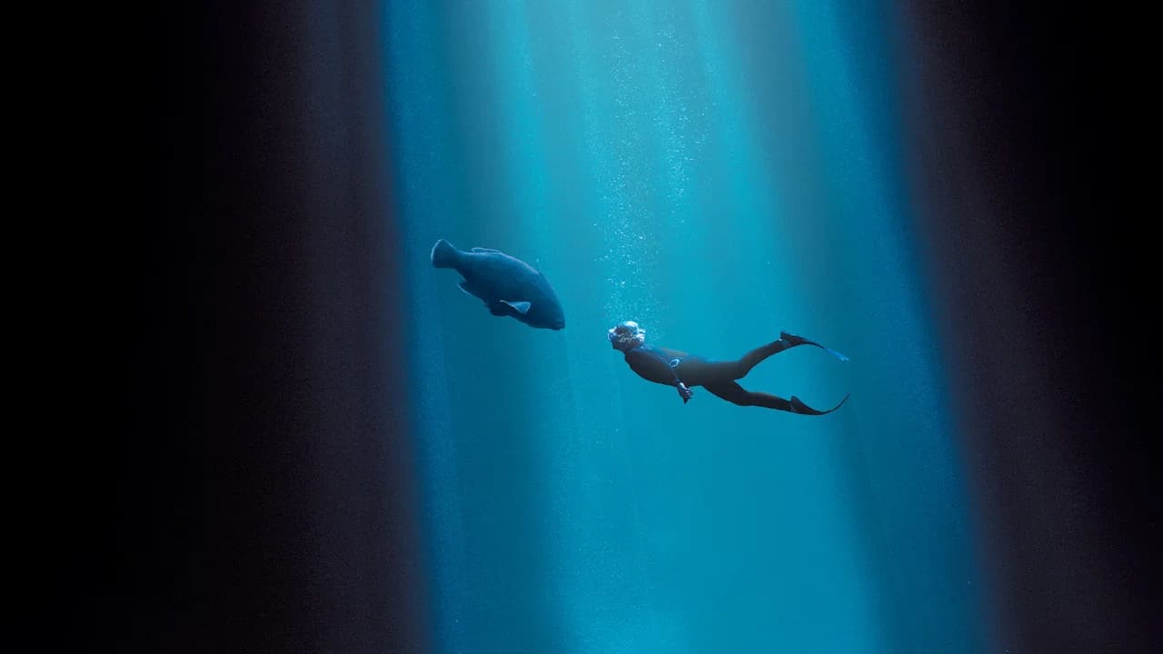 Blueback : Une amitié sous-marine
