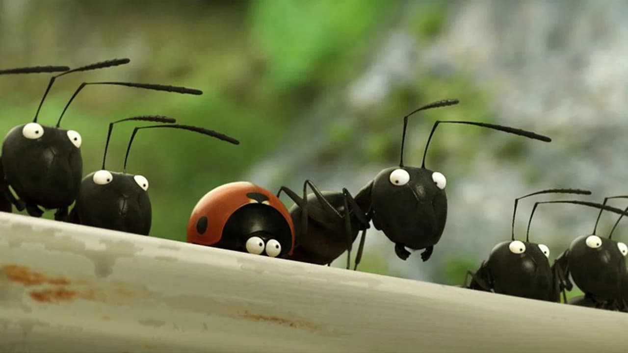 Minuscule - La Vallée des fourmis perdues