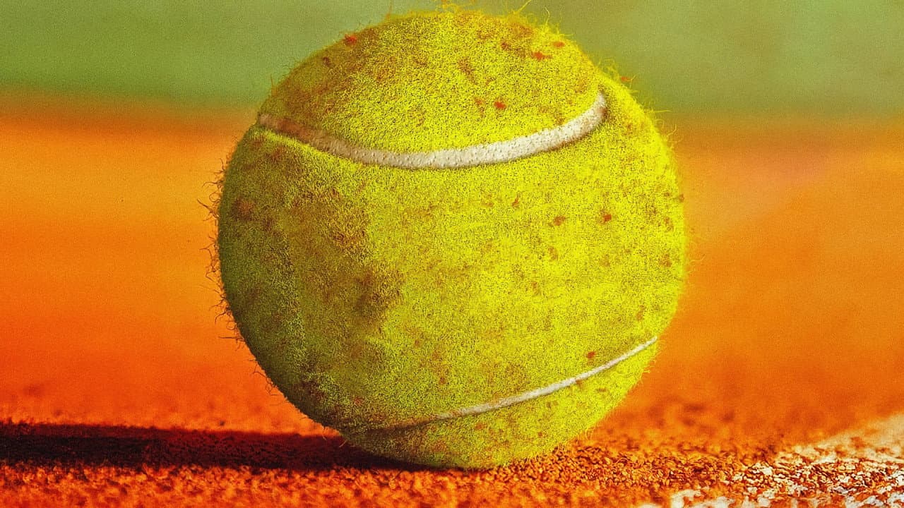 Il maestro