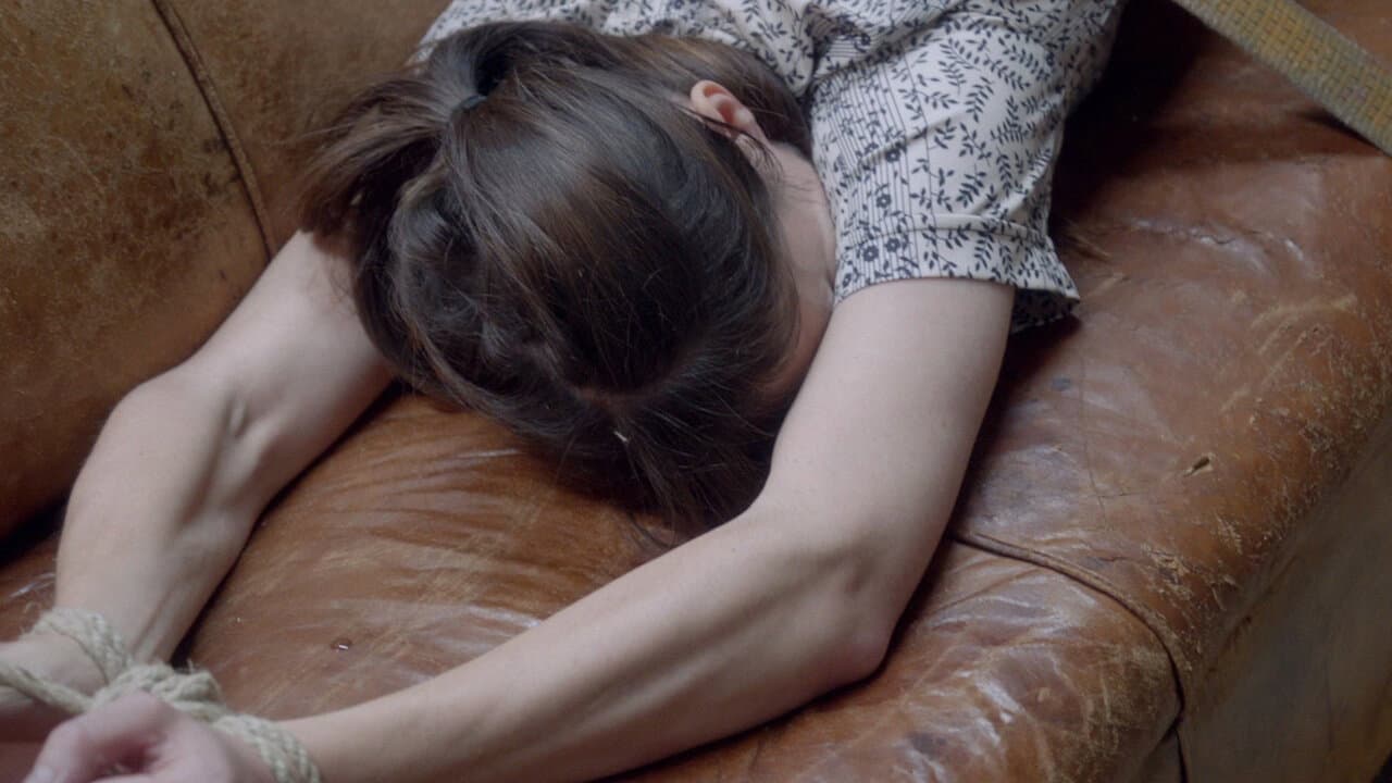 Nymphomaniac : Volume 2