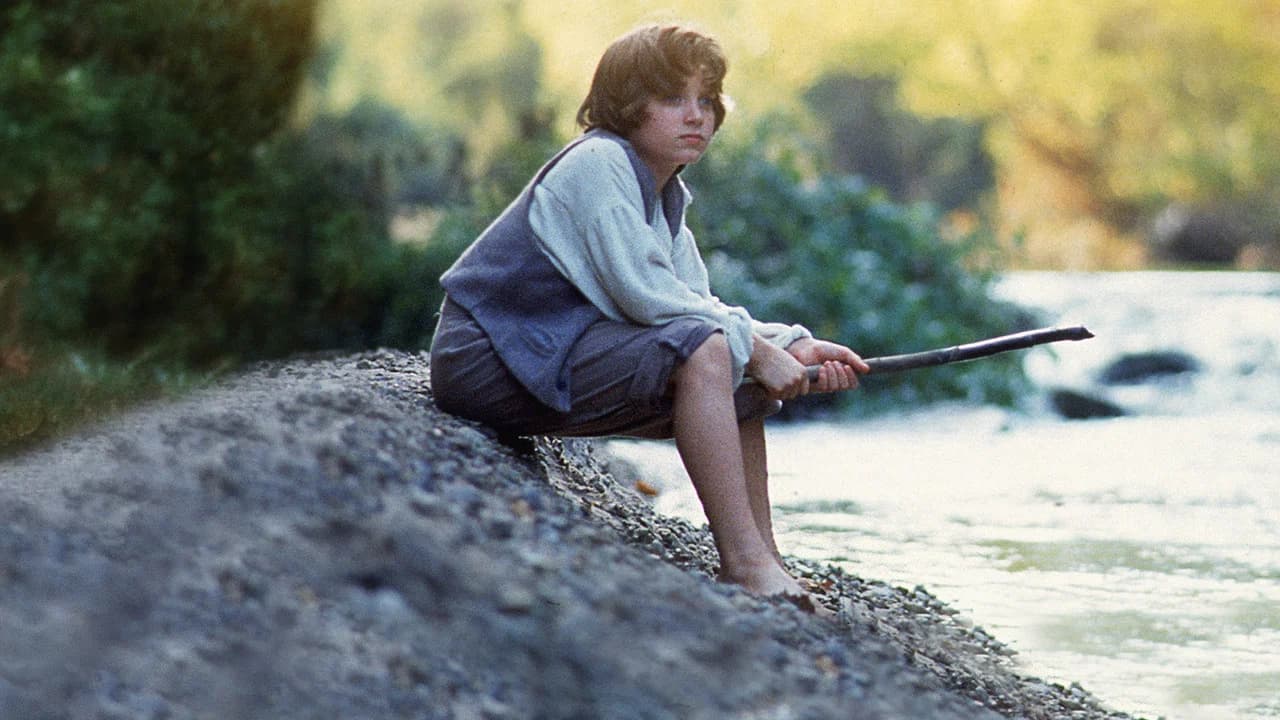 Les Aventures de Huckleberry Finn