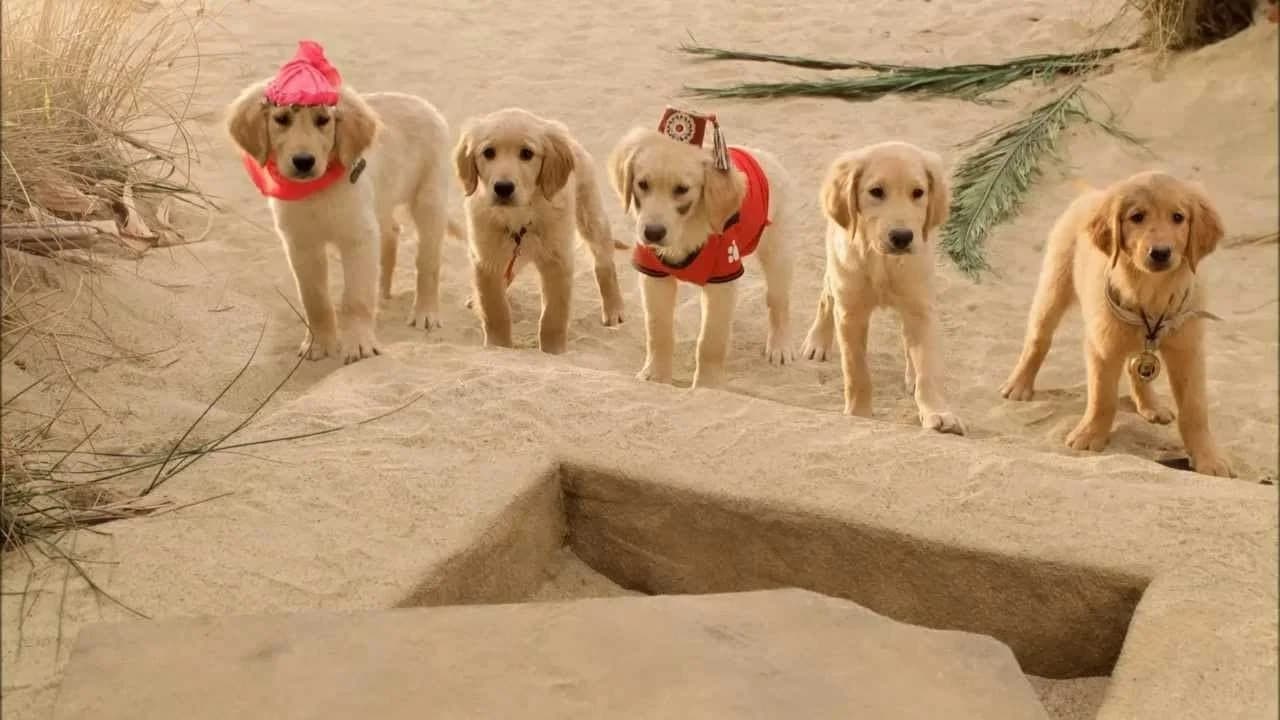 Les Copains chasseurs de trésor