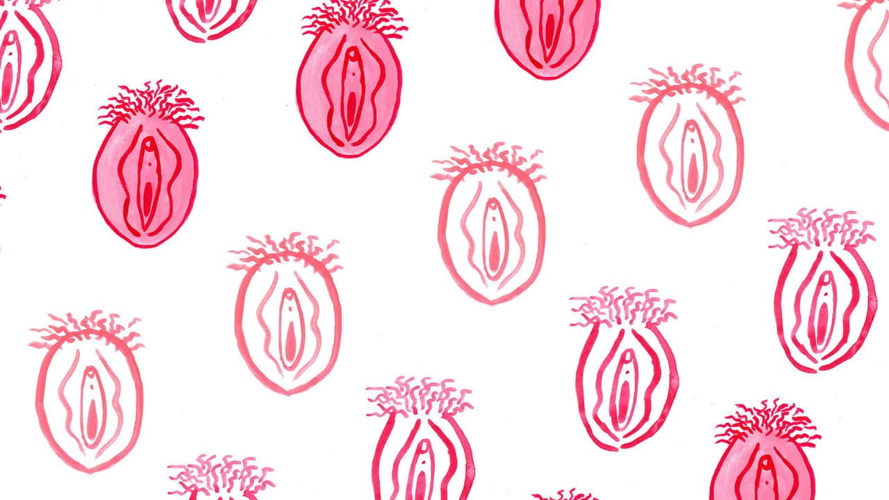Le Clitoris