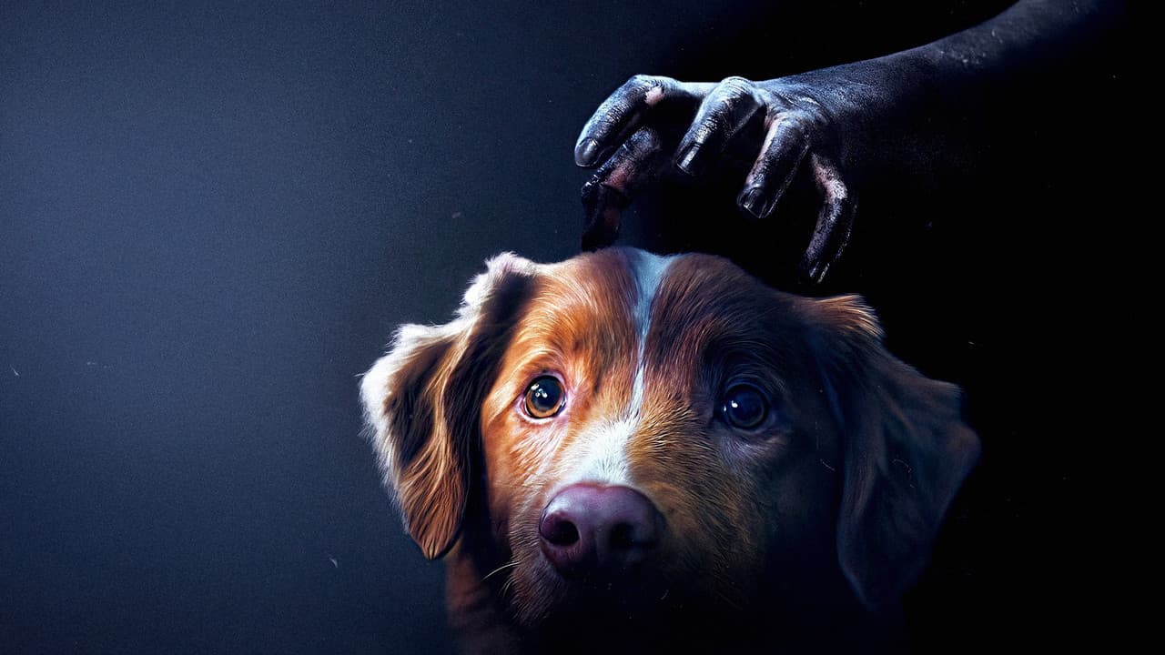 Good Boy