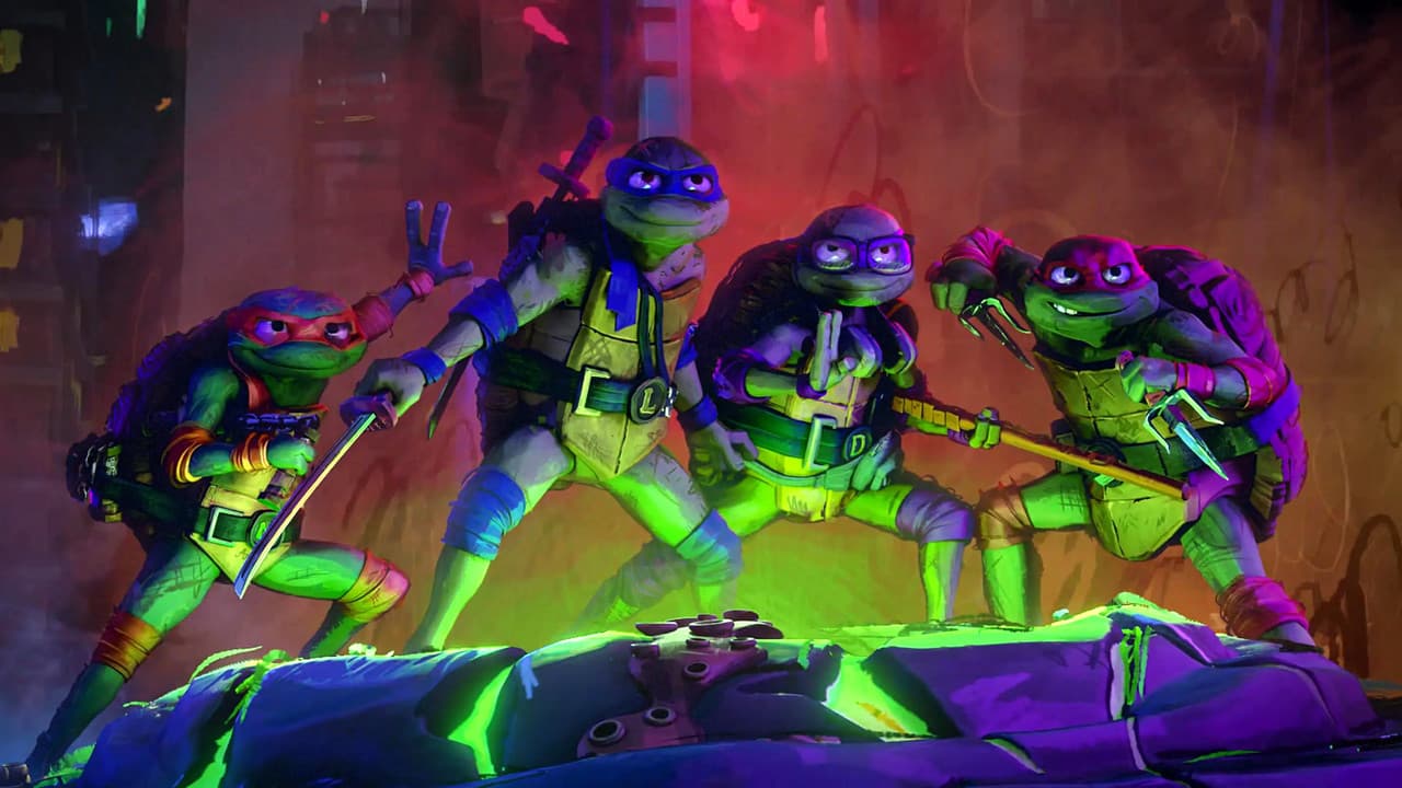 Ninja Turtles : Teenage Years