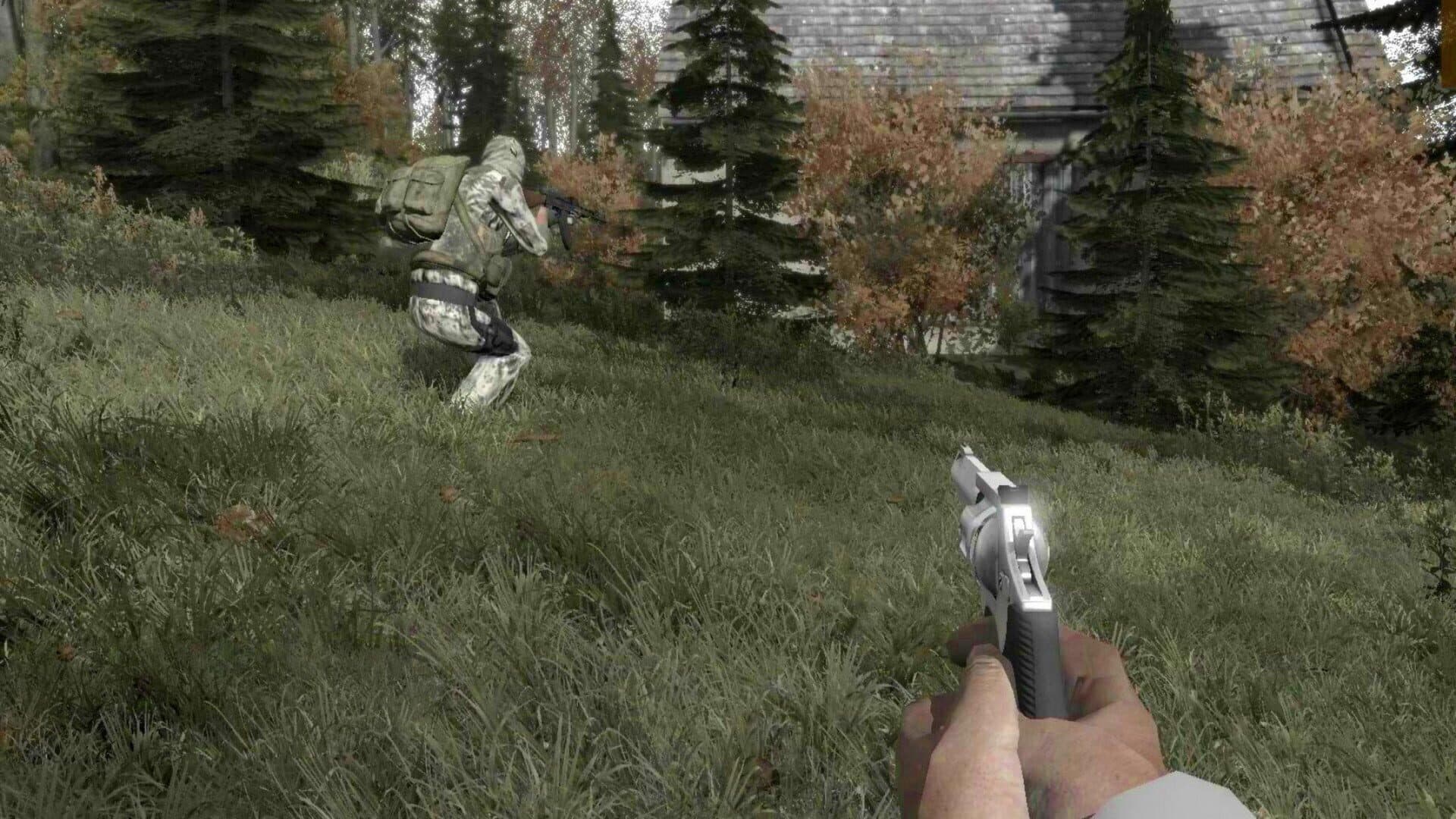 Arma II: DayZ