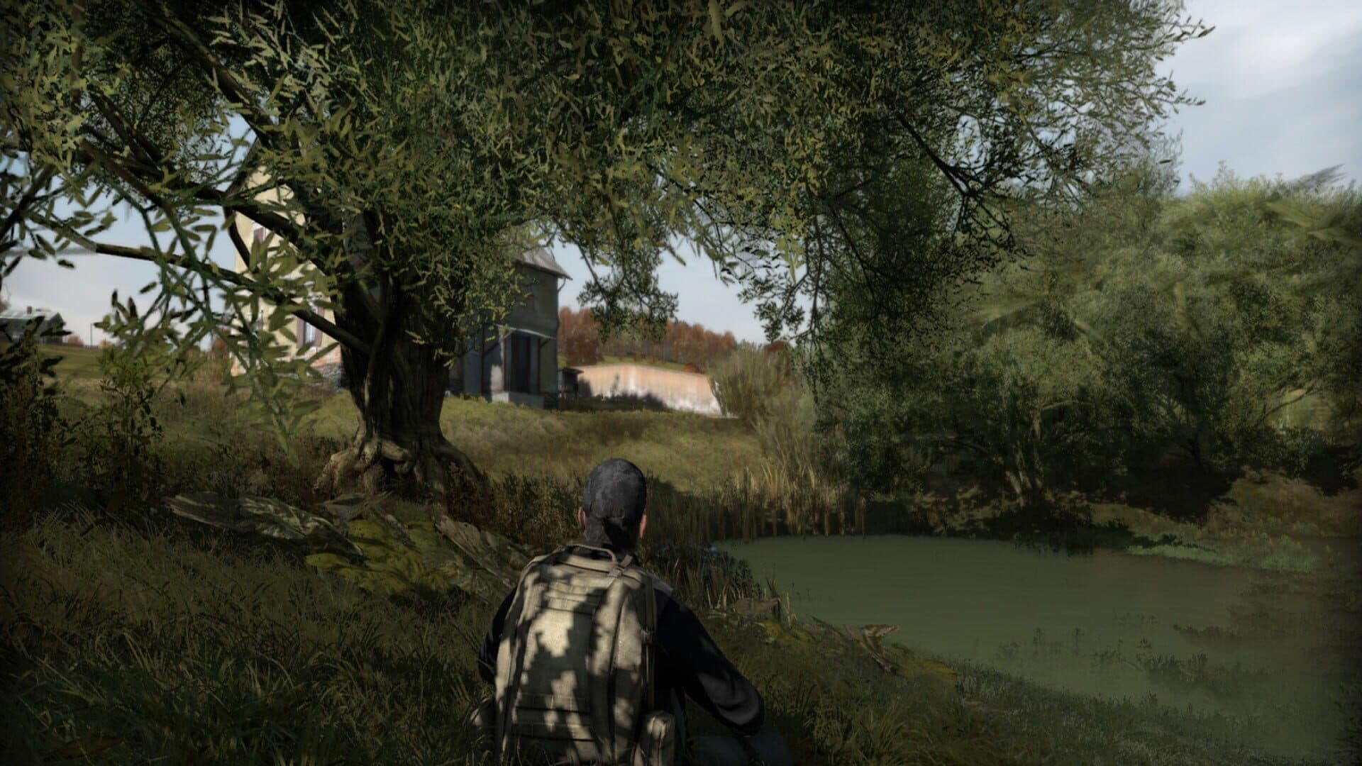 Arma II: DayZ