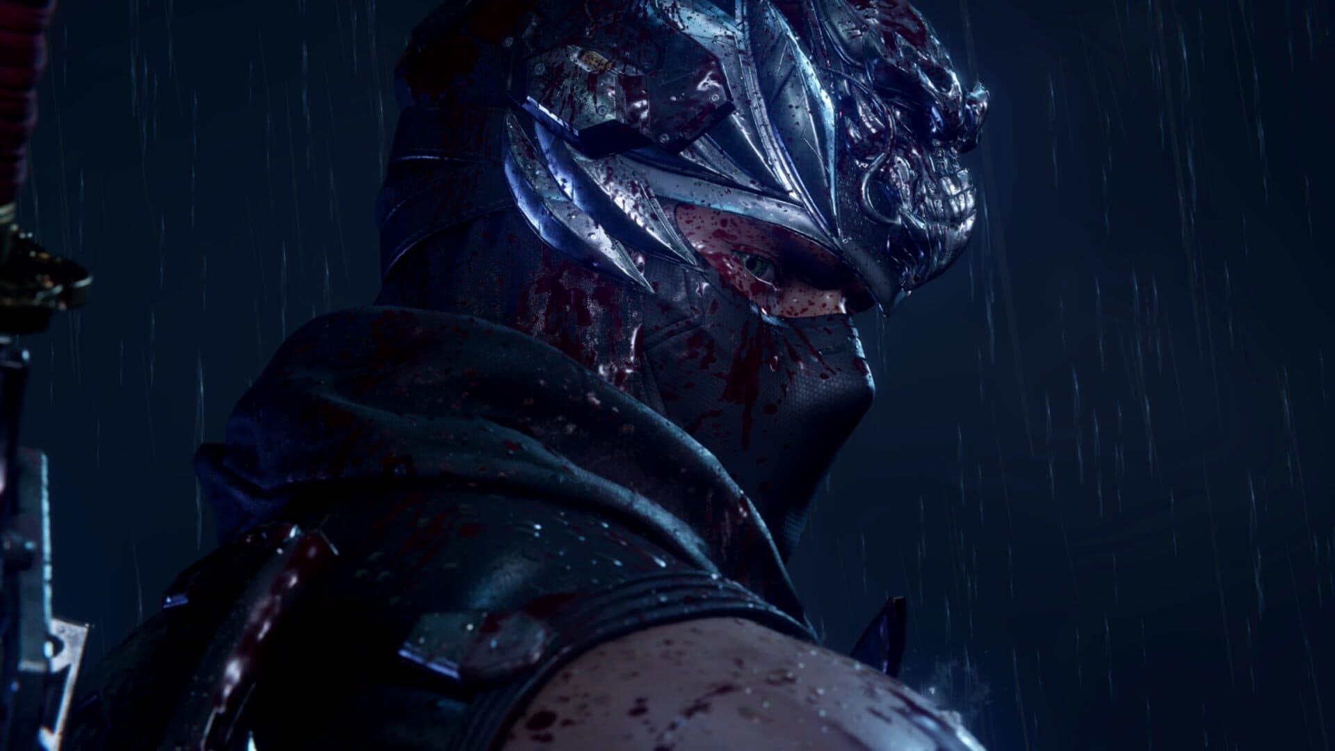 Ninja Gaiden 4