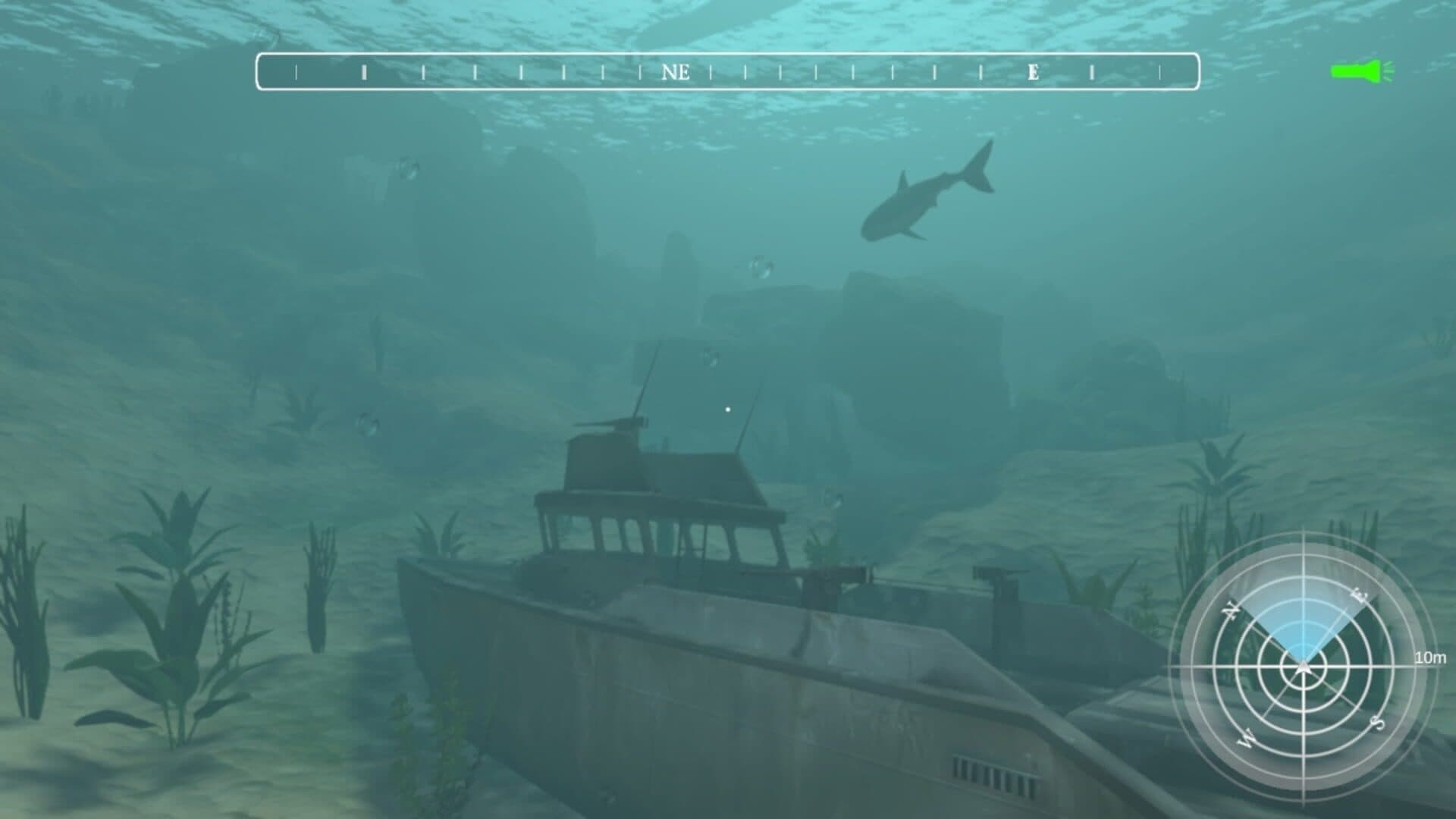 Dive Expedition