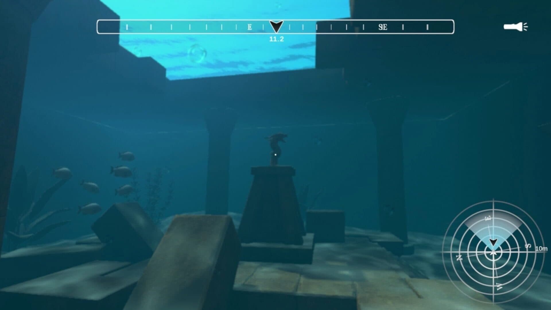 Dive Expedition