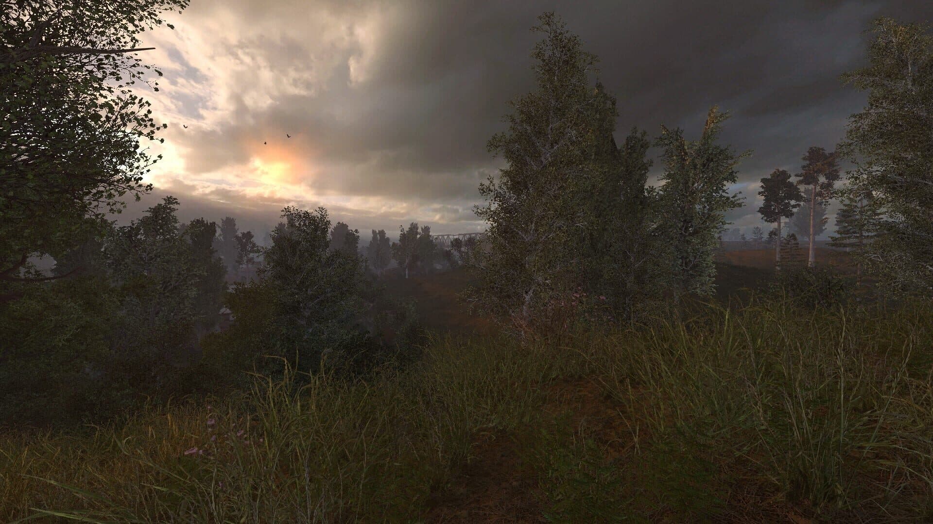 S.T.A.L.K.E.R.: Anomaly