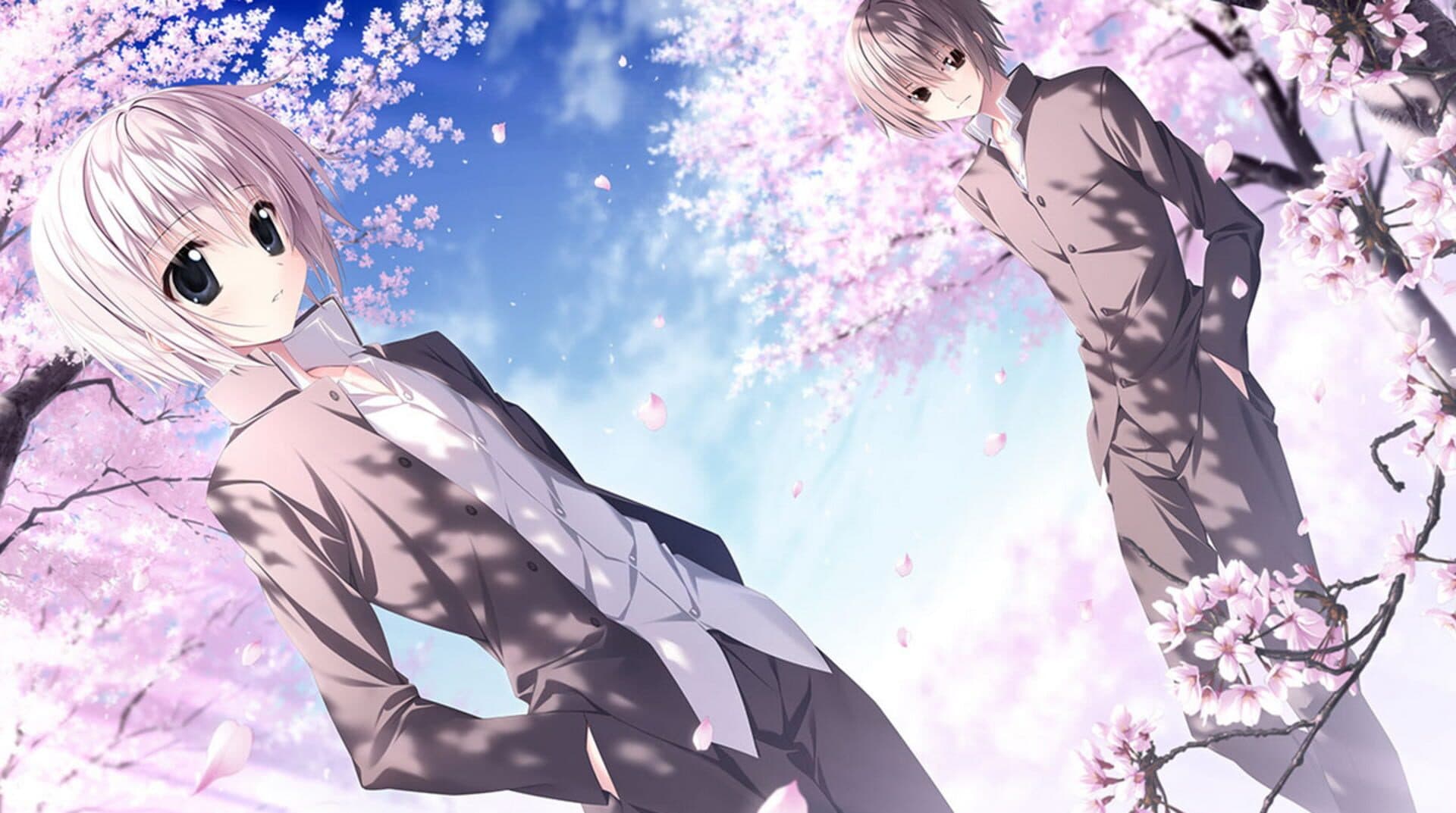 Sakura no Uta Re:Graphic - 10th Anniversary Edition