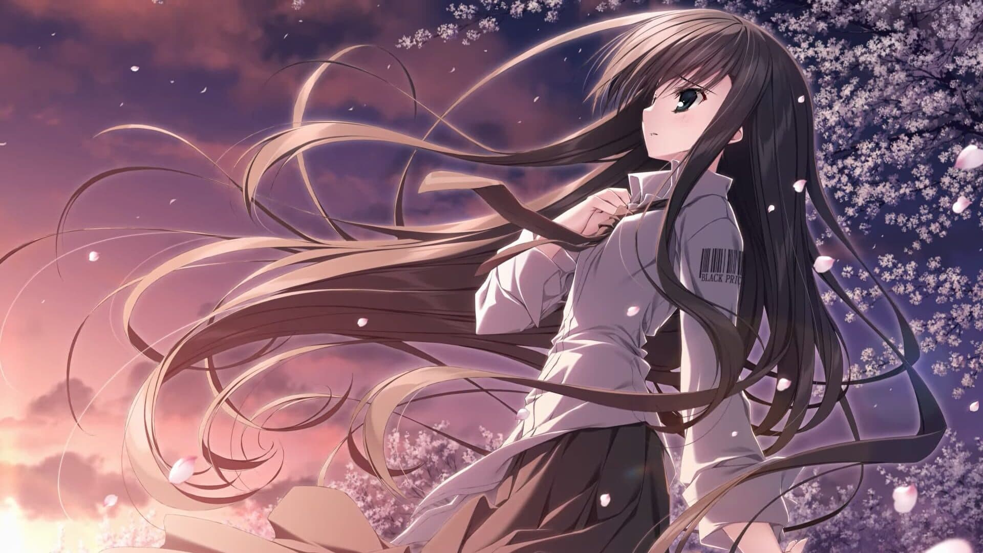 Sakura no Uta Re:Graphic - 10th Anniversary Edition