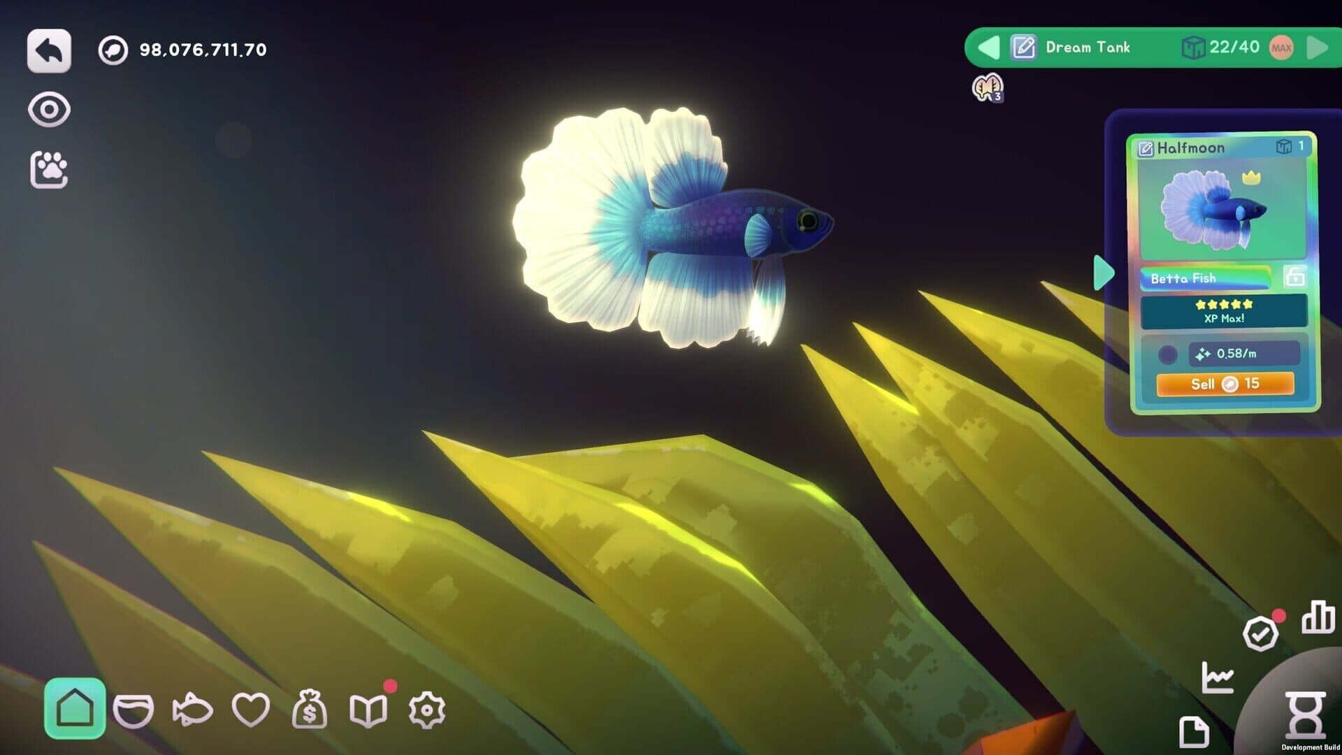With Me: Aquatic Time