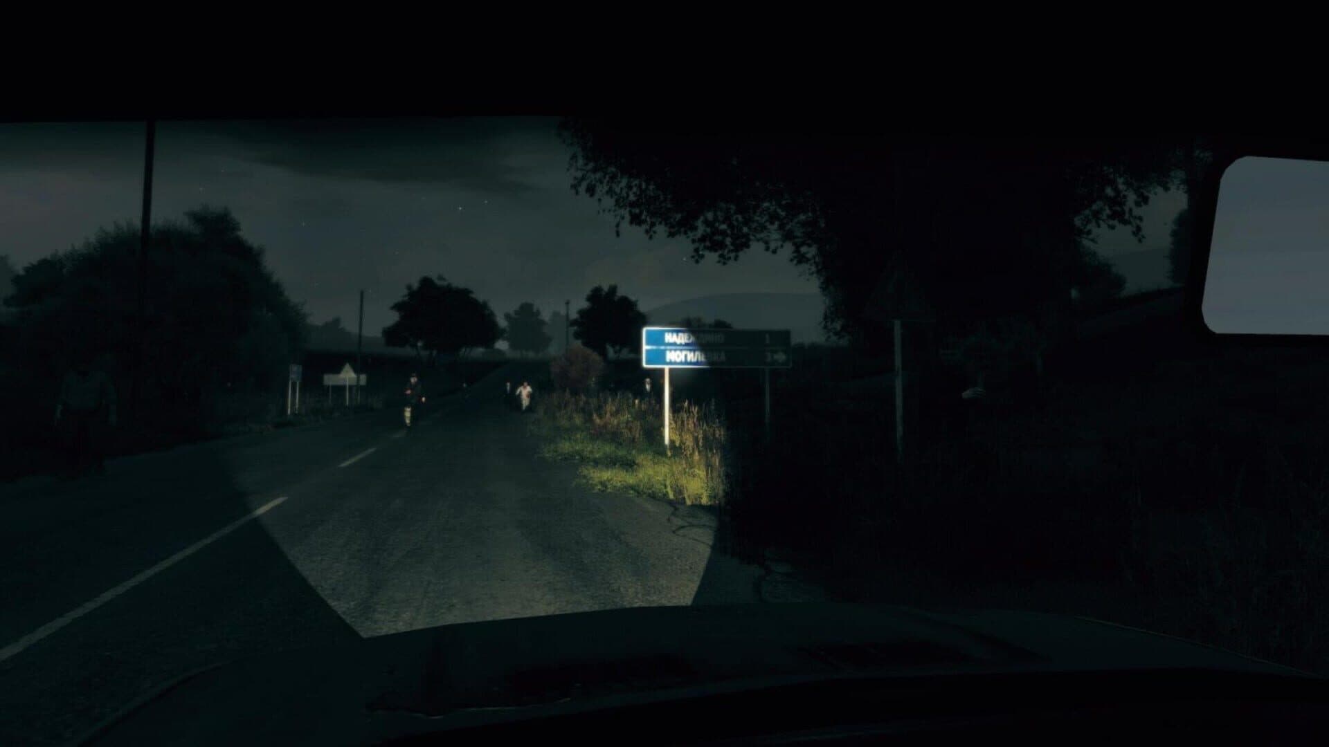 Arma II: DayZ